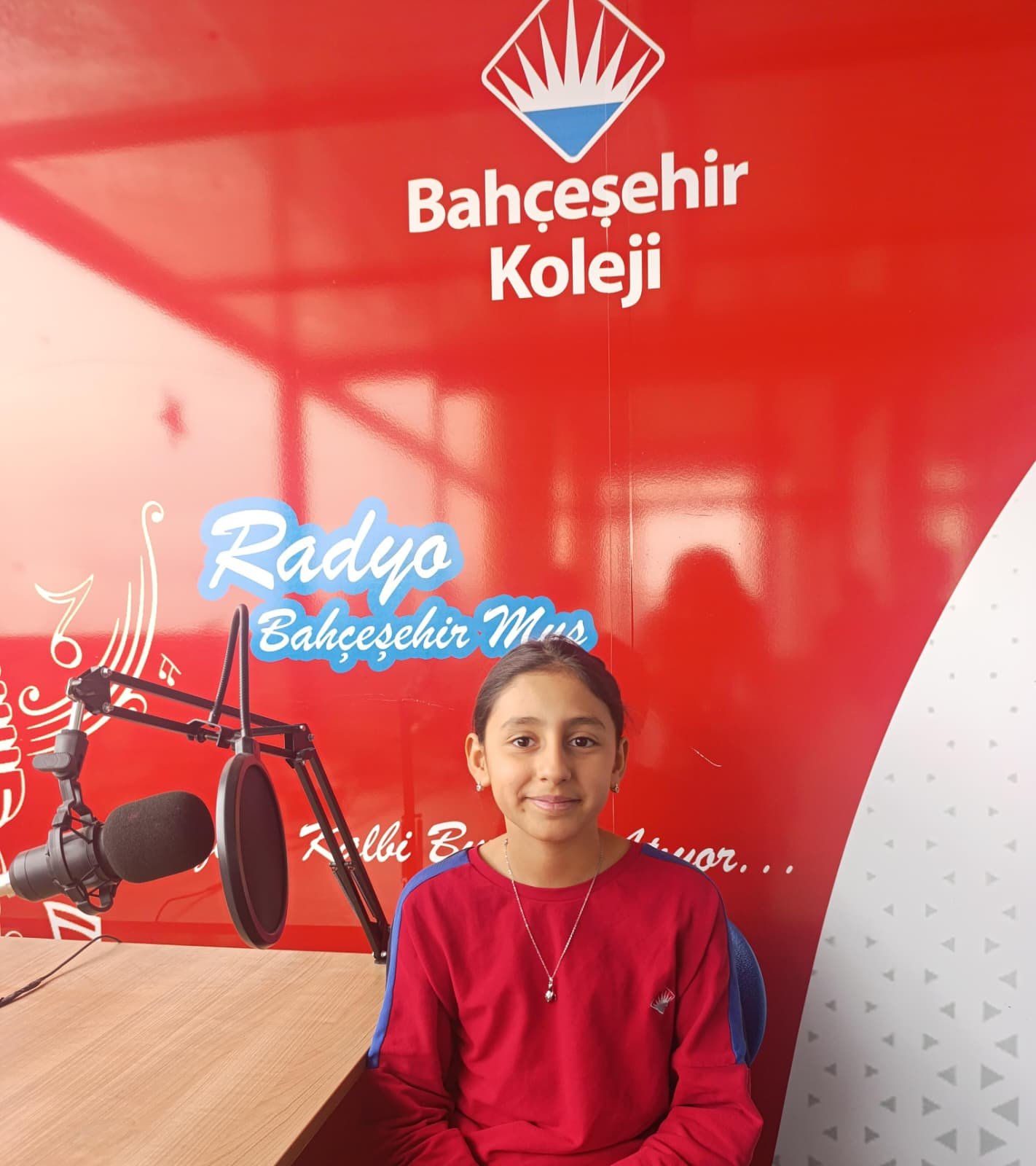 SARE BİŞİ
